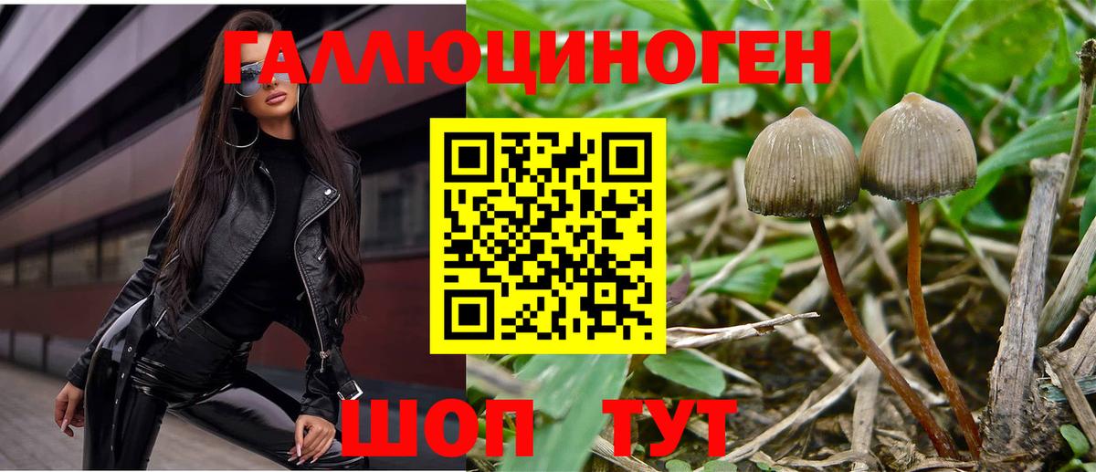 Псилоцибиновые грибы MAGIC MUSHROOMS  Псилоцибиновые грибы прущие грибы  Гусь-Хрустальный  Вход с VPN 